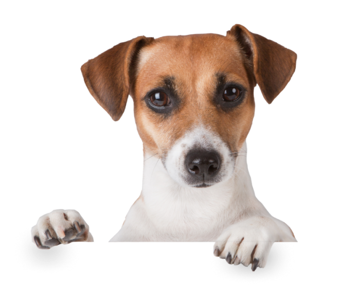 בא לך לדבר איתנו?